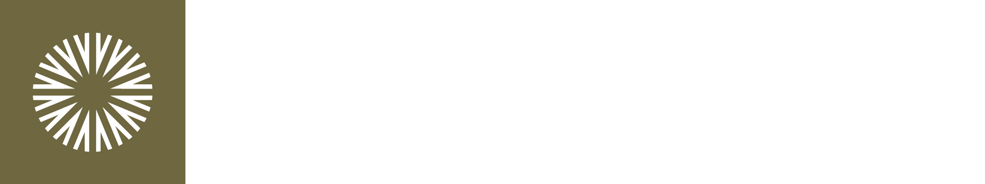 Nordeye
